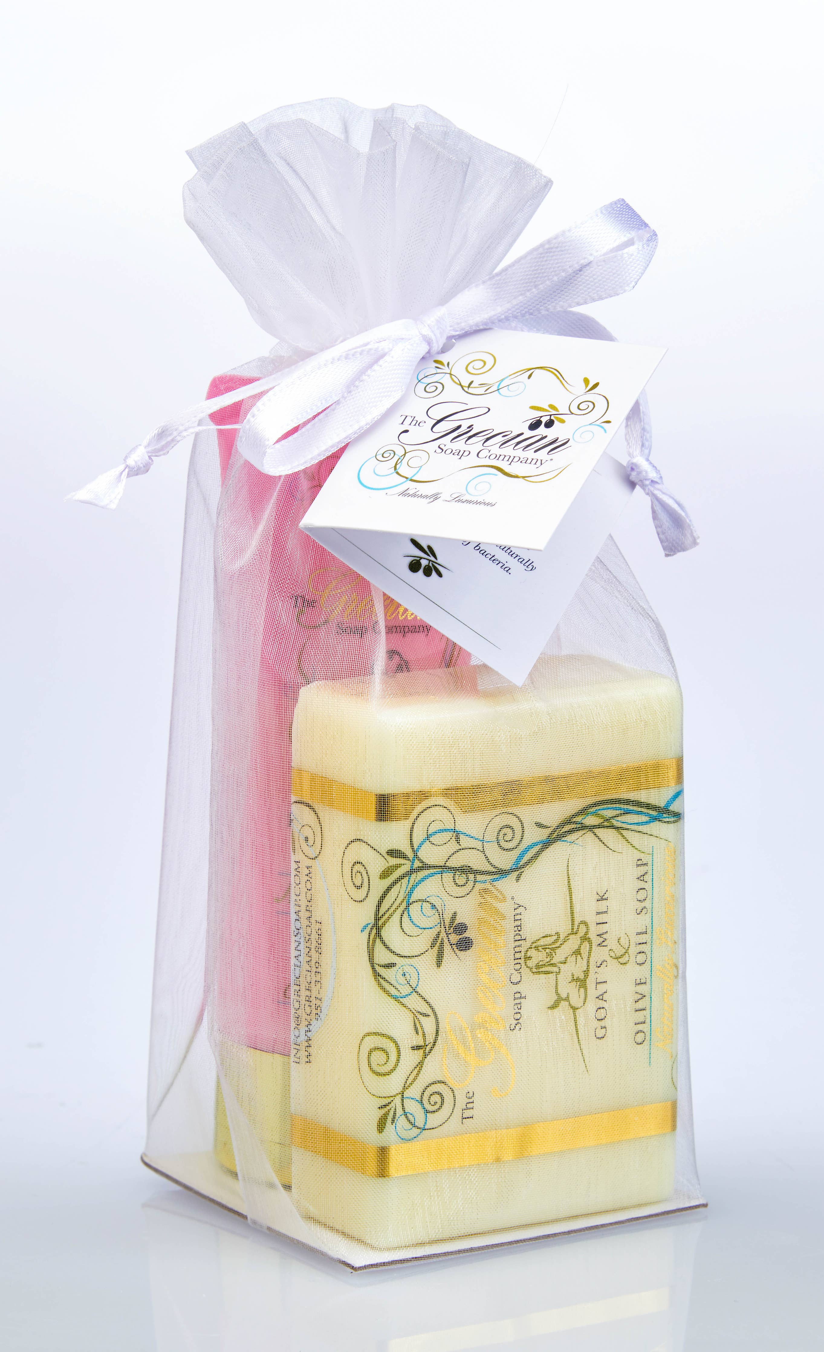 Goat Milk Lotion Gift Set | Organic Soap & Lotion: Coco Mango